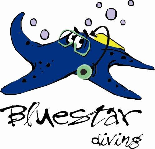 bluestar logo-jpg bluestar logo-jpg